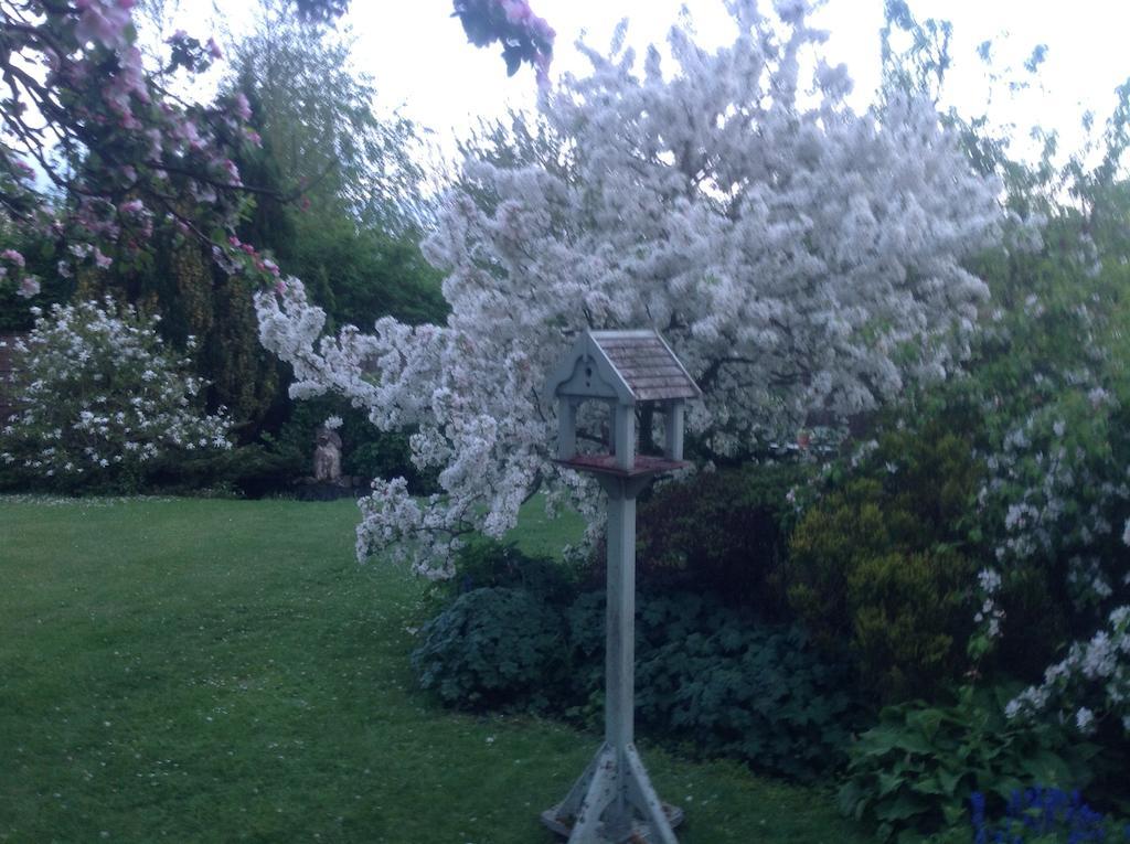 Hindolveston White House Farm Bed & Breakfast エクステリア 写真